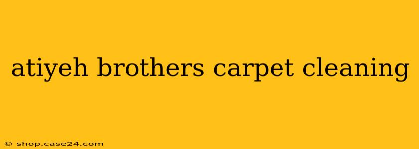 atiyeh brothers carpet cleaning