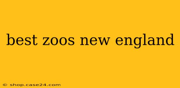 best zoos new england