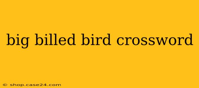 big billed bird crossword