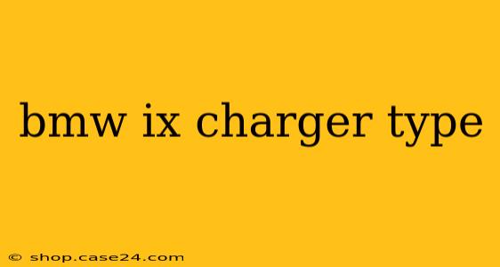 bmw ix charger type