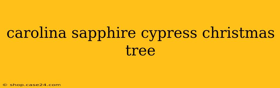 carolina sapphire cypress christmas tree