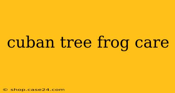 cuban tree frog care