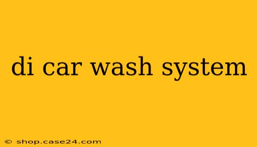 di car wash system