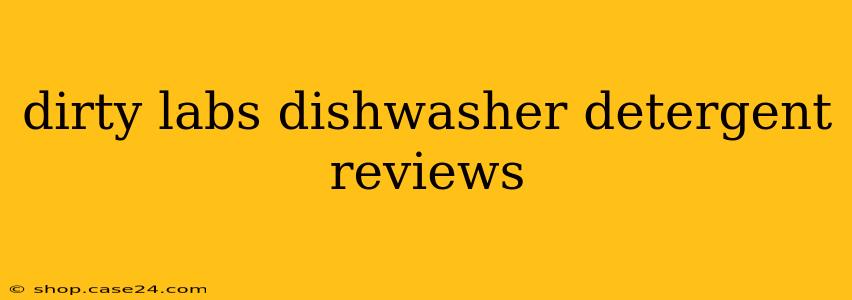 dirty labs dishwasher detergent reviews