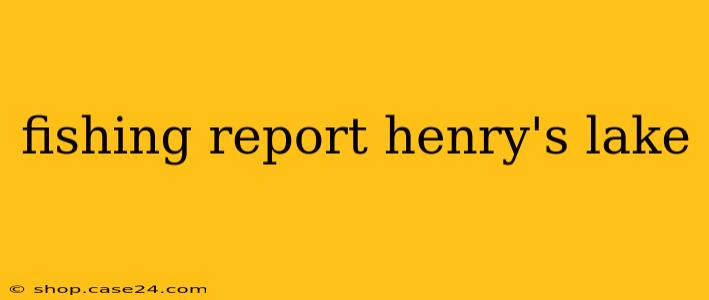 fishing report henry's lake