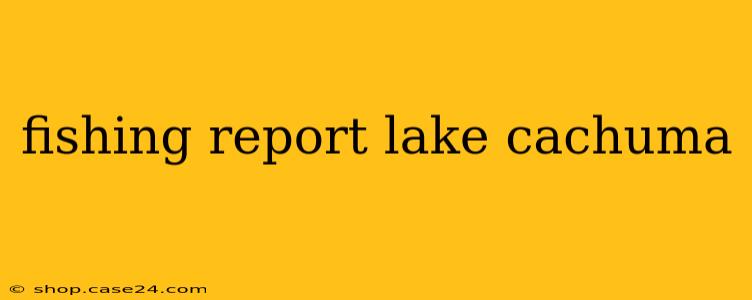 fishing report lake cachuma