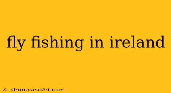 fly fishing in ireland