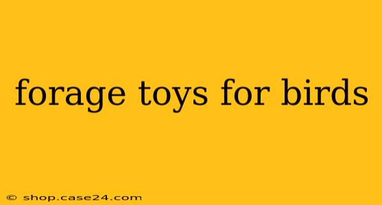 forage toys for birds