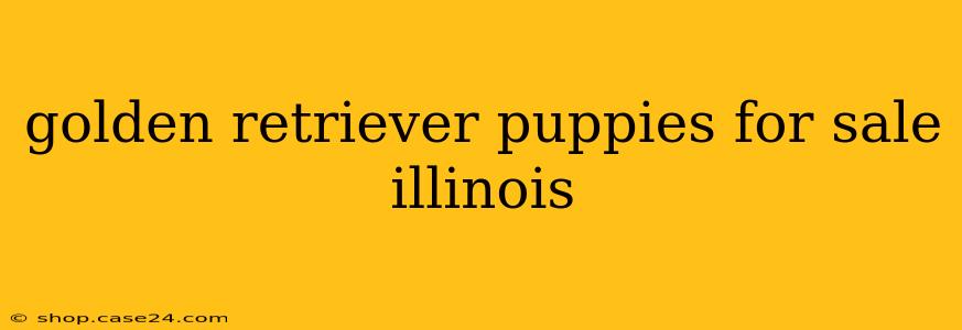 golden retriever puppies for sale illinois