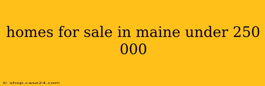 homes for sale in maine under 250 000