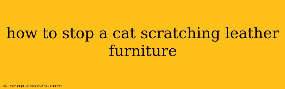 how to stop a cat scratching leather furniture