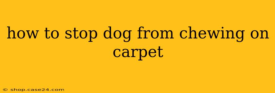 how to stop dog from chewing on carpet