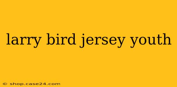 larry bird jersey youth