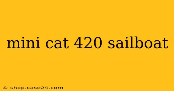 mini cat 420 sailboat