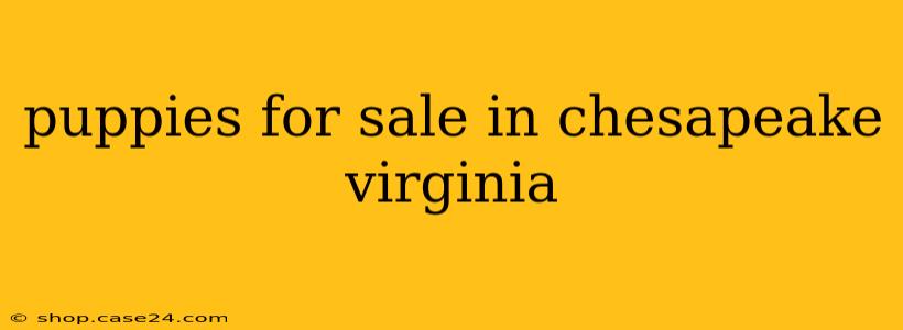 puppies for sale in chesapeake virginia