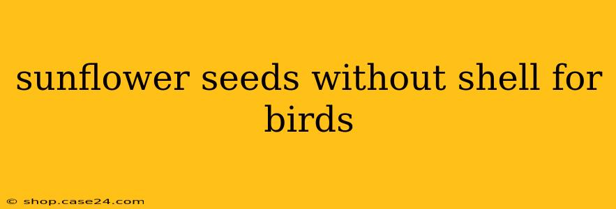 sunflower seeds without shell for birds