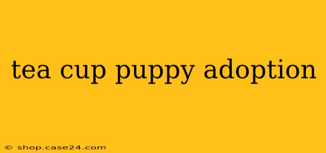 tea cup puppy adoption