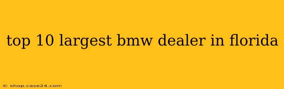 top 10 largest bmw dealer in florida