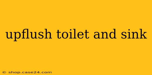 upflush toilet and sink