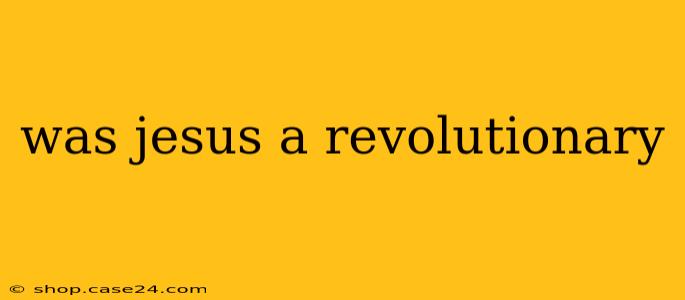 was jesus a revolutionary