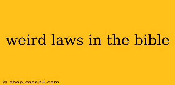 weird laws in the bible