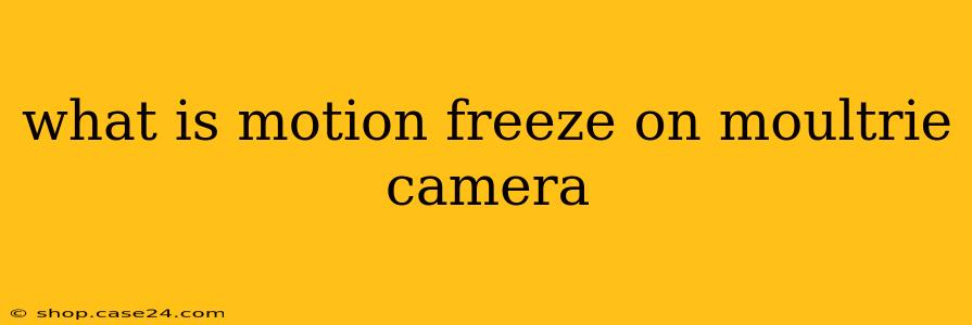 what is motion freeze on moultrie camera