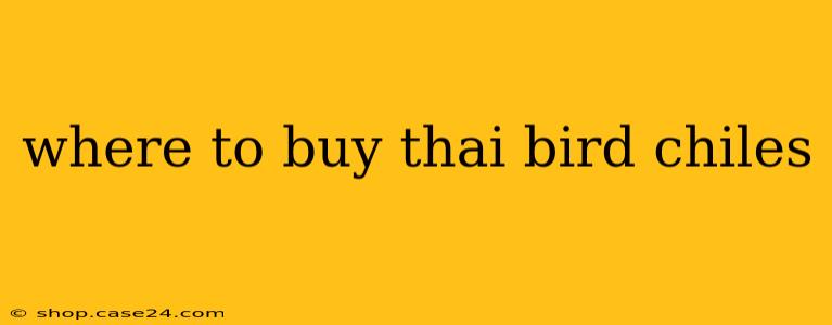 where to buy thai bird chiles