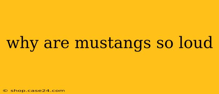 why are mustangs so loud