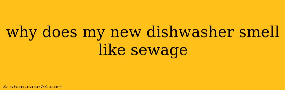 why does my new dishwasher smell like sewage